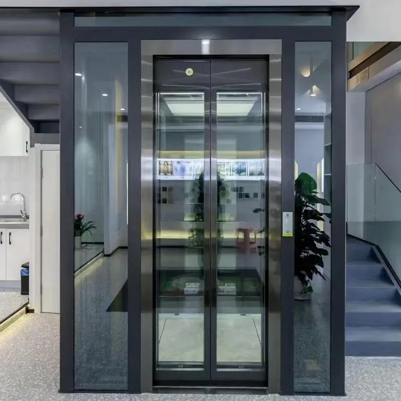 Traction Gantry Sightseeing Elevator