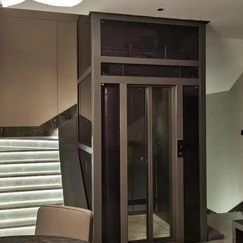 Traction Gantry Sightseeing Elevator 3 Traction gantry household elevator 2