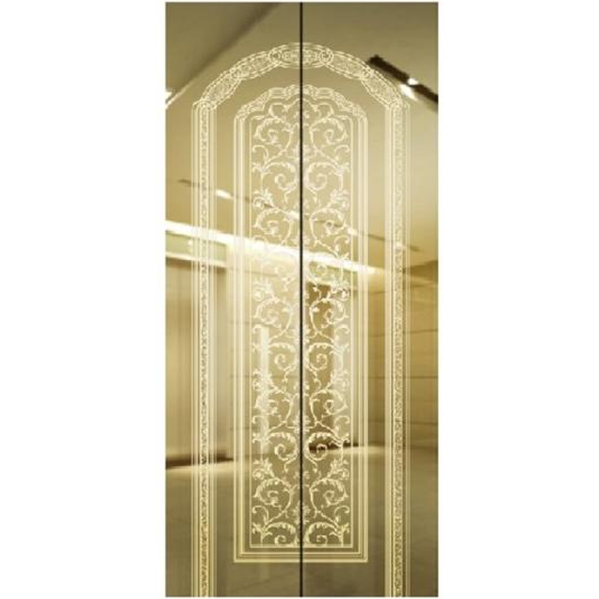 SY-S02 Golden Series Stainless steel elevator door