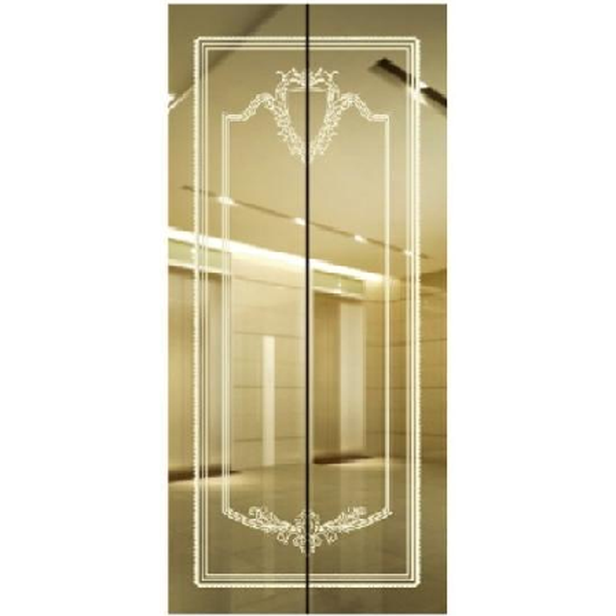 SY-S02 Golden Series Stainless steel elevator door