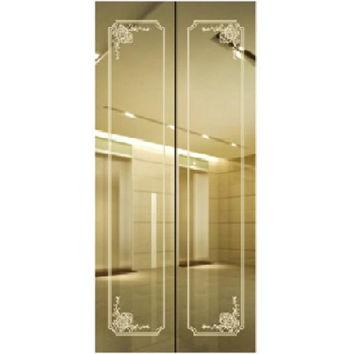 SY-S02 Golden Series Stainless steel elevator door