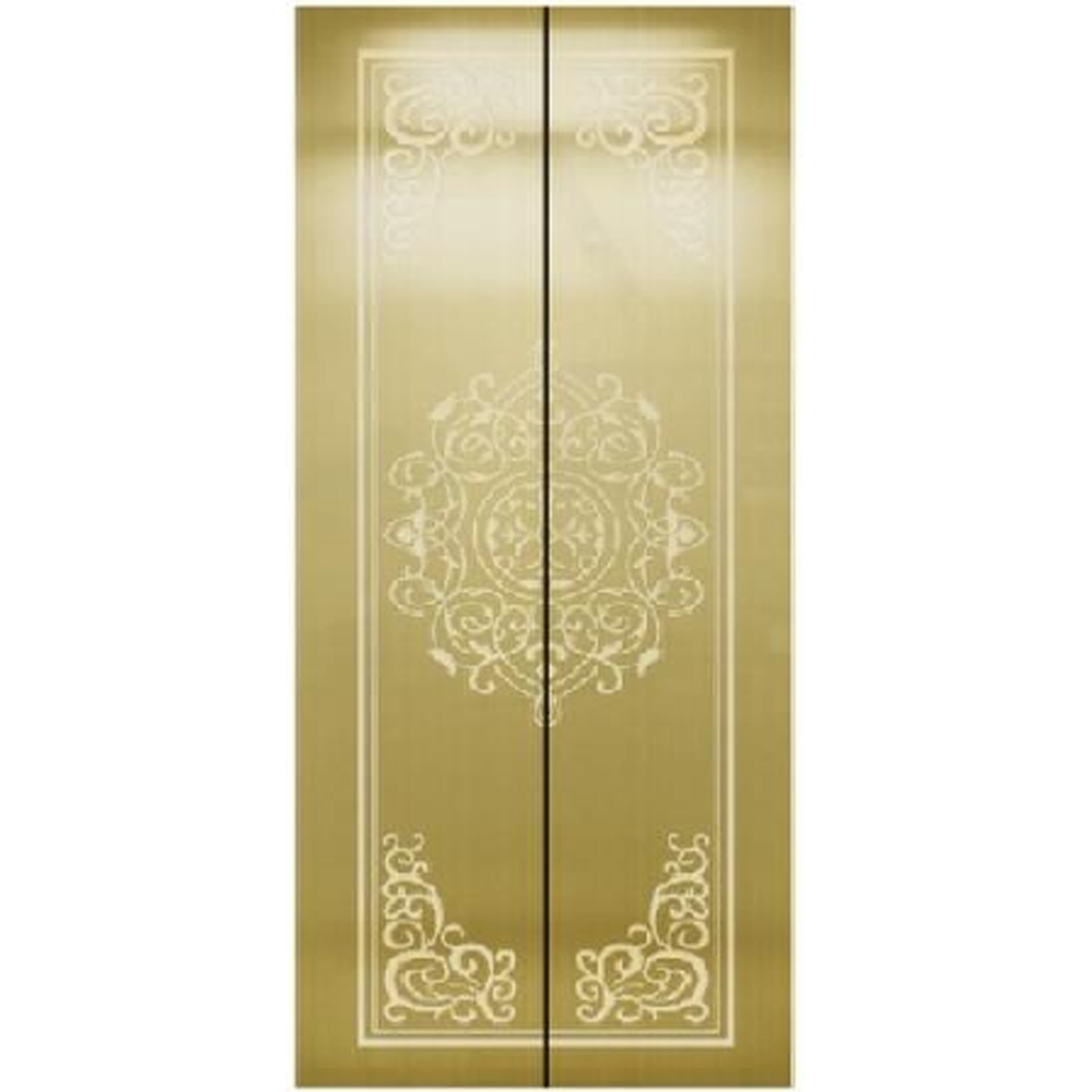 SY-S02 Golden Series Stainless steel elevator door