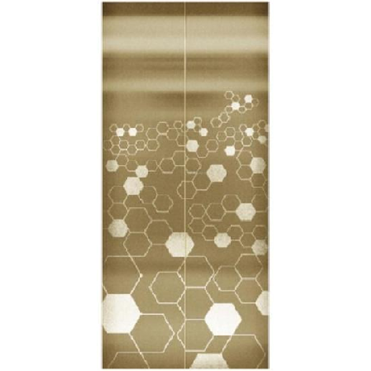 SY-S02 Golden Series Stainless steel elevator door