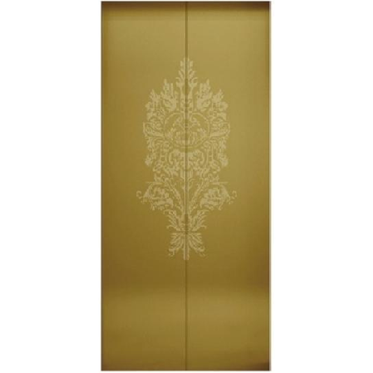 SY-S02 Golden Series Stainless steel elevator door