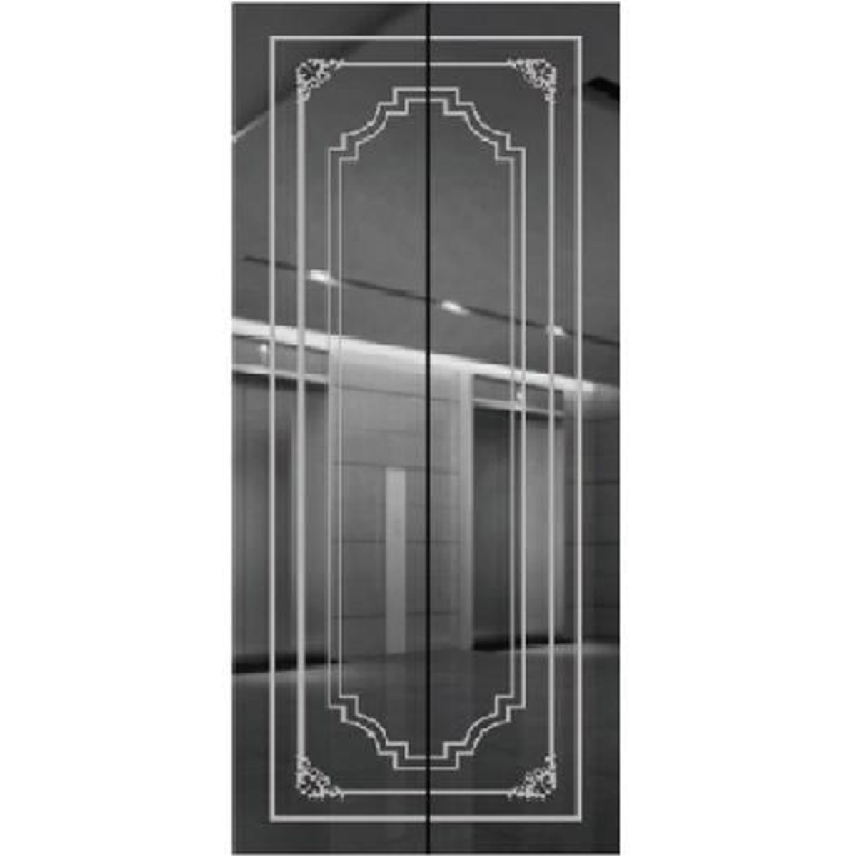 SY-S03 Black Series Stainless steel elevator door