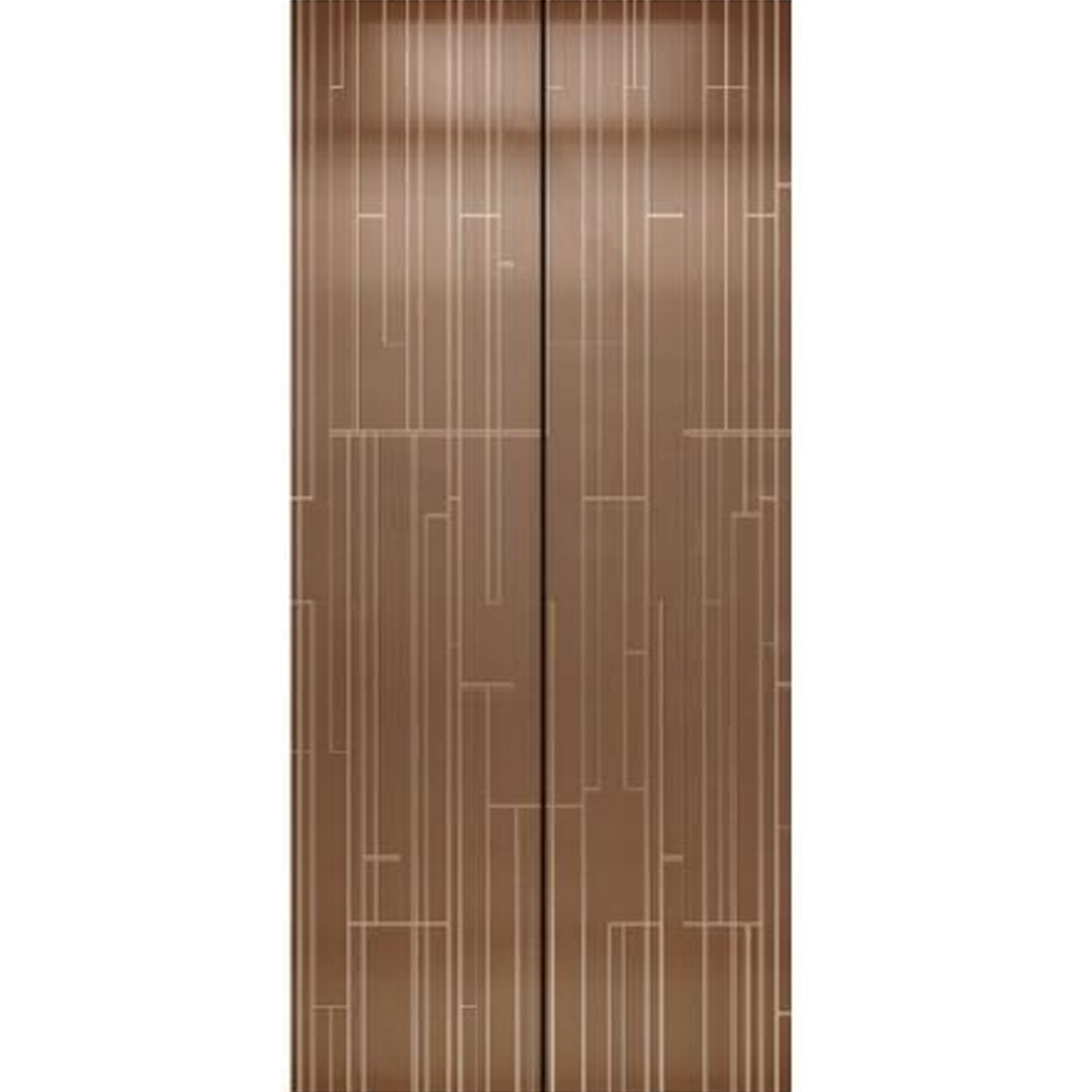 SY-S04 Bronze Series Stainless steel elevator door