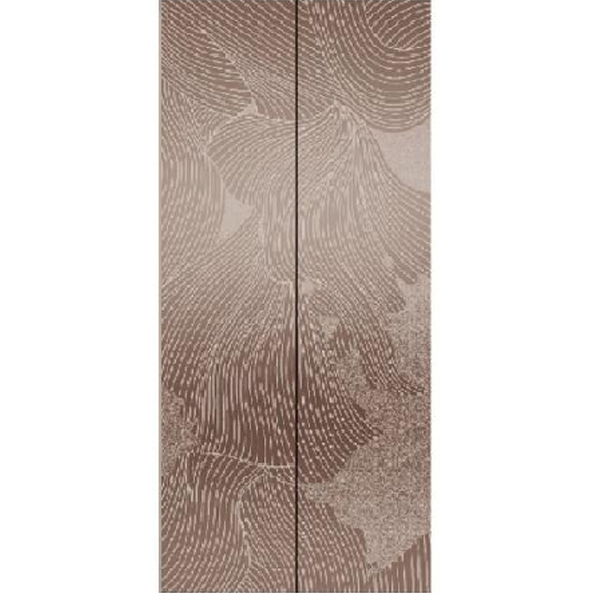 SY-S04 Bronze Series Stainless steel elevator door