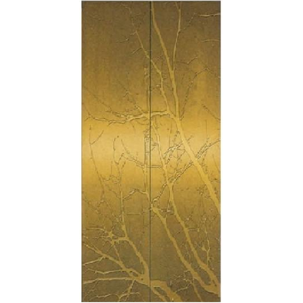 SY-S04 Bronze Series Stainless steel elevator door