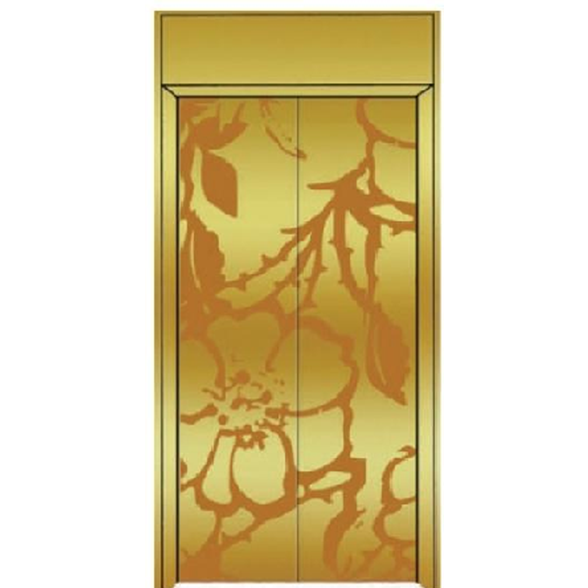 SY-S05 Gold and Silver Series Stainless steel elevator door