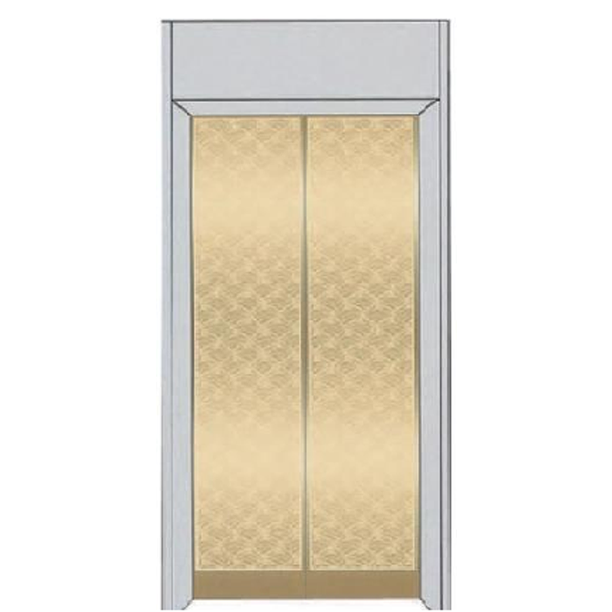 SY-S05 Gold and Silver Series Stainless steel elevator door