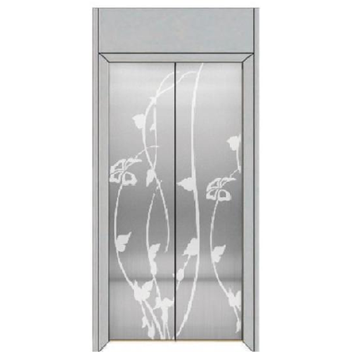 SY-S06 Silver Series Stainless steel elevator door