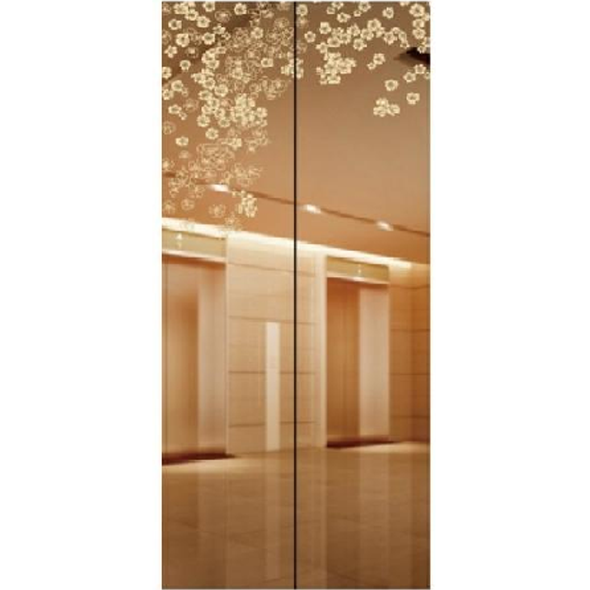 SY-S01 Rose Gold Series Stainless steel elevator door