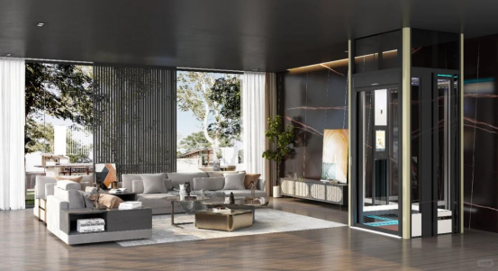 Home Elevators Residential: Transforming Global Living Standards and Accessibility 1 image 16