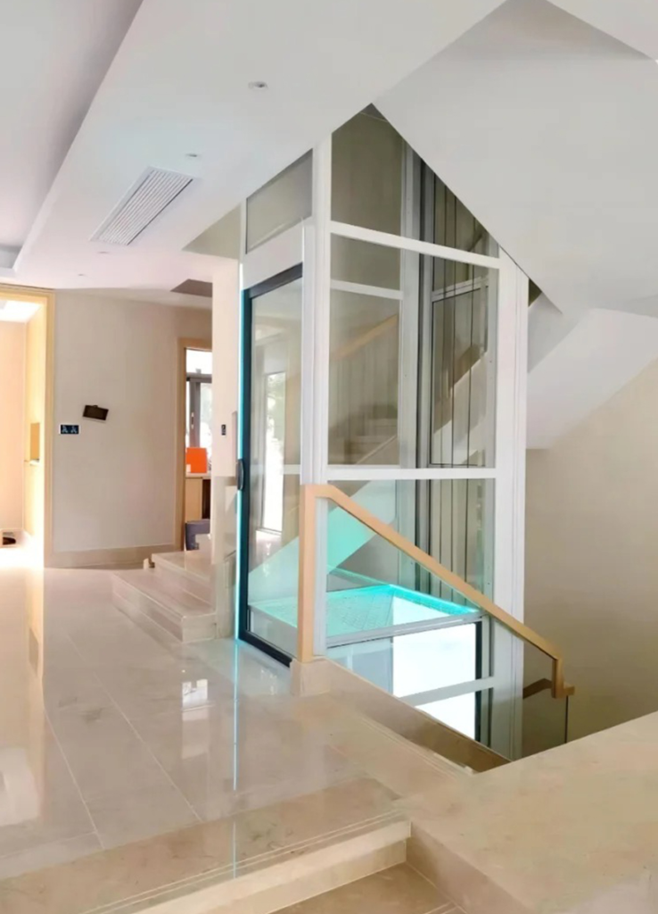 Home Elevator: Global Perspective on Innovation and Accessibility