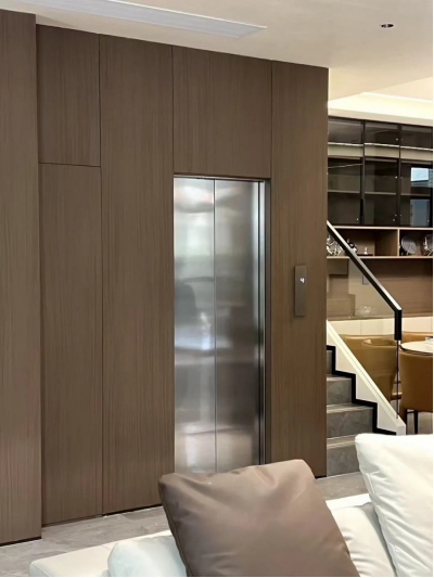 Home Elevators and Lifts:Global Perspectives on Technological Innovation and Market Trends 3 image 43
