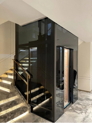 Lift Elevator:Global Perspectives on Technological Innovation and Market Evolution