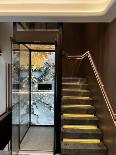 Home Elevator DIY: Redefining Global Residential Accessibility Through Innovation