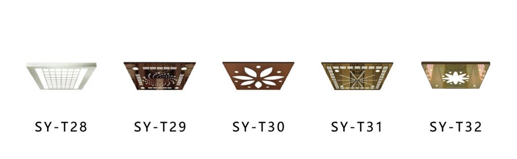 SY-T06 Elevator Car Roof Ceiling 1 轿顶 6