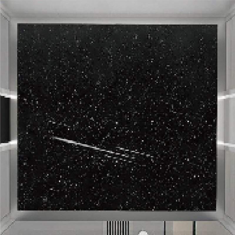 SY-T01 Elevator Car Roof Ceiling