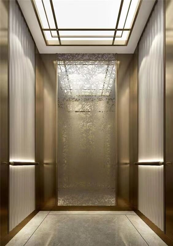 Home Lift Elevator: Revolutionizing Global Residential Vertical Mobility 3 QQ图片20230907092957