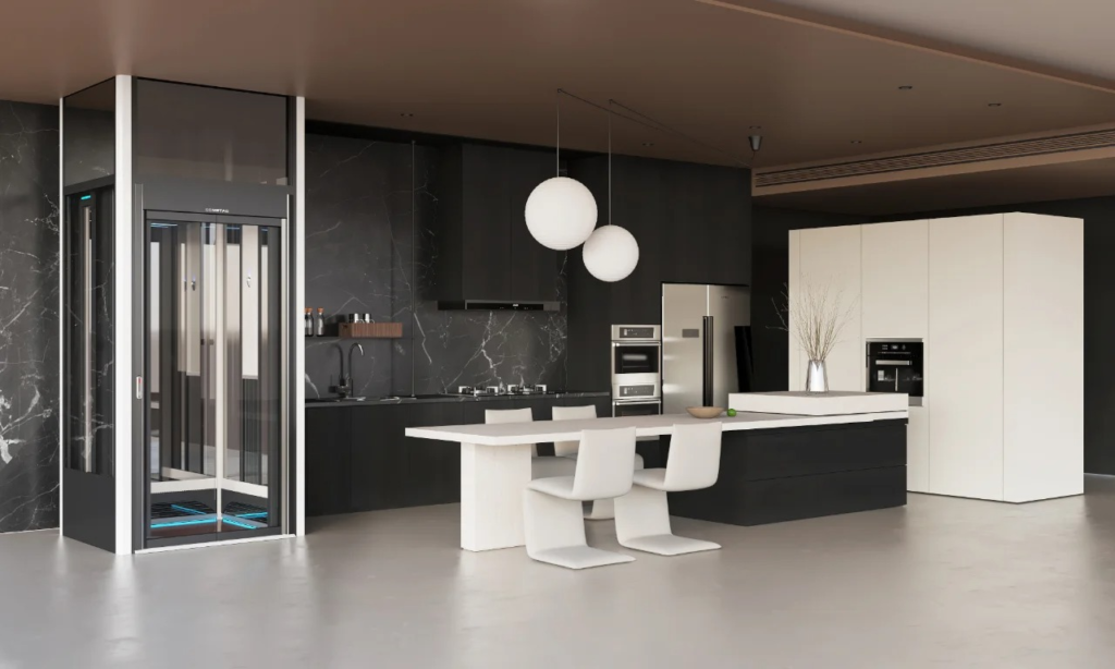Modern Home Elevator:Global Perspectives on Technological Innovation and Market Trends 3 image 10