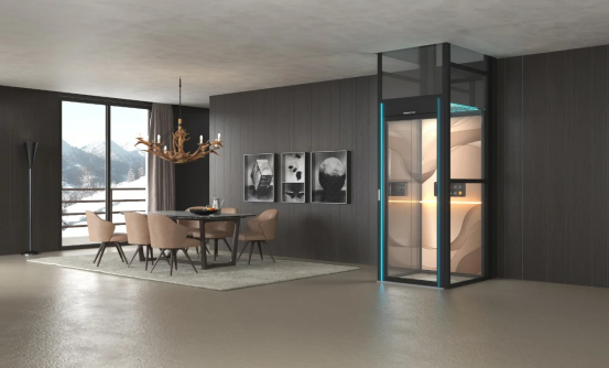 Luxury Home Elevator: Global Market Trends and Innovations 2 image 5