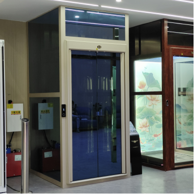 Global Perspective on Personal Home Elevator Market Development and Trends 3 image 54