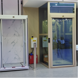 Global Perspective on Personal Home Elevator Market Development and Trends