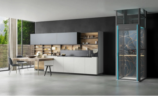 Luxury Home Elevator: Global Market Trends and Innovations 3 image 7